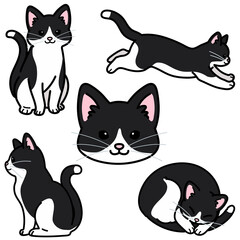 Set of simple and adorable black and white cat illustrations outlined