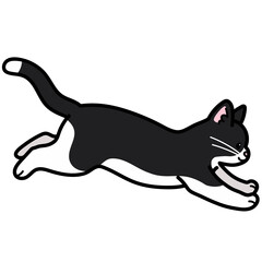 Simple and adorable black and white cat jumping in side view outlined