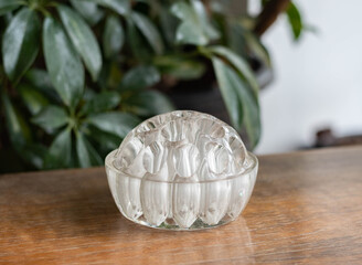 Mid-century modern glass paperweight on a wooden table with plants in the background