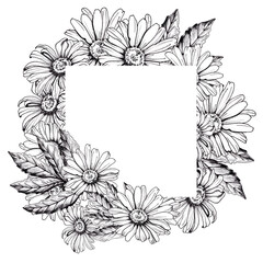 Frame square from daisies and leaves. Graphic black and white icon for business design. Hand-drawn drawing with pen and liner on white background.