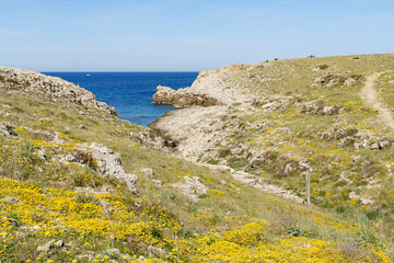 View of the west coast of Menorca in a sunny day with blue sky with a cala beach in the background (Balearic Islands, Spain)