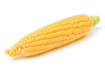 Fresh organic corn cob isolated on white background