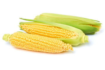 Fresh organic corn cob isolated on white background