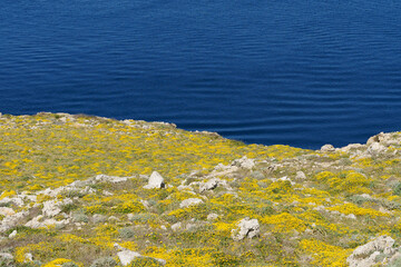 View of the west coast of Menorca in a sunny day with blue sky (Balearic Islands, Spain)