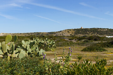 Landscape scenery of Menorca with Torre del Ram, Balearic Islands, Spain