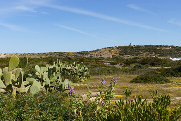 Landscape scenery of Menorca with Torre del Ram, Balearic Islands, Spain