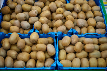 Close-up of boxes with kiwi on the shelves in the supermarket.