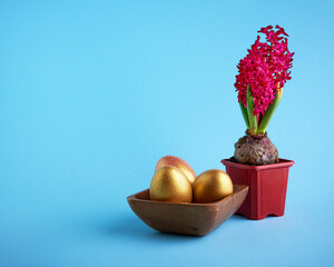 Easter concept. Golden easter eggs and pink hyacinth on blue background copy space