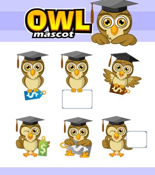 owl mascot Mascot Design