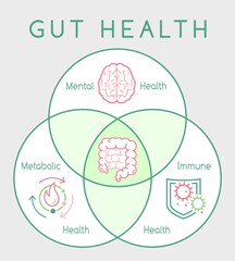 Why gut health matters. Vertical poster. Medical infographic.