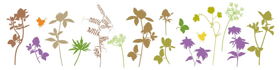 .Hand draw  set of diverse silhouettes of wildflowers, melliferous, fodder plants. Multicolored floral collection. Isolated vector images of flowers..