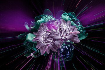 abstract flowers on a dark purple background, lines of stars like a universe.