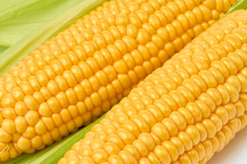 Fresh organic corn cob isolated on white background