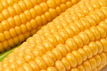 Fresh organic corn cob isolated on white background