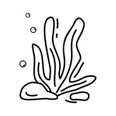 Vector drawing of seaweed in doodle style on a white isolated background.Underwater world, vegetation, rocks. Background element,graphic design,sticker.