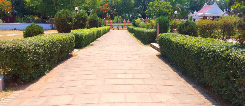 Green Park with road and path