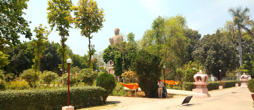 Buddha with green tree and park in Sarnath Varanasi U.P. India