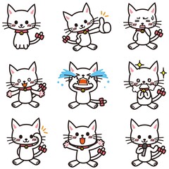 泣いたり笑ったり興奮したりしている白い猫のセット