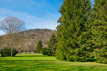 Fototapeta na wymiar Blick auf eine Wiese im Kurpark von Bad Herrenalb, umgeben von Bäumen, mit einem bewaldeten Hügel im Hinergrund