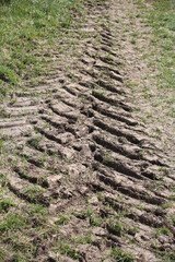 Reifenspuren eines Traktors in der Wiese