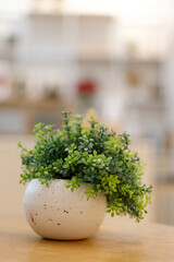 Fototapeta premium Green plastic tree in the white round pot on the table selective focus and blured background.