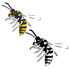 Wasp illustration black yellow isolated on white background