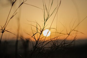 Fototapeta premium Atardecer 