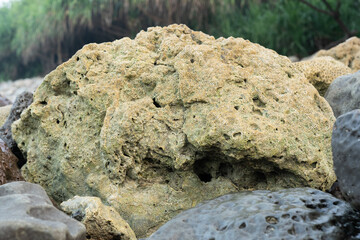 Coral island
