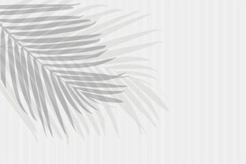 Fototapeta na wymiar Abstract gray background with shadow from palm branches. Template for presentation. shadows of leaves fall to surface. Silhouette of tropical leaves, natural pattern, texture. Space for text
