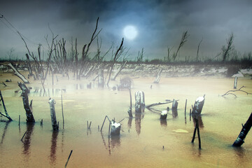 Winter views of a rotten swamp