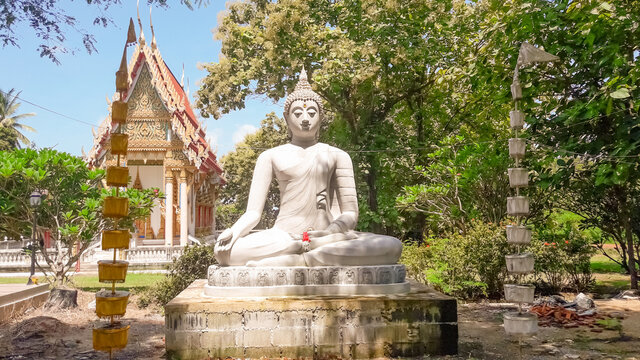 White Buddha image surrounded by green trees behind a beautiful temple.