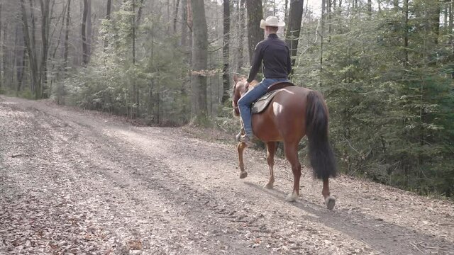 Cowboy riding horse on forest mountain trail under the sun 4K