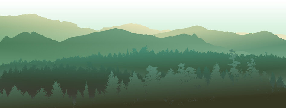 Forest silhouette, vector illustration. People camping, adventure and travel concept, beautiful forest, mountain and sky, exposure, vector illustration.	