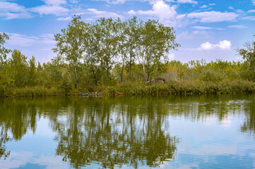 View of the river bank.Blue sky with white clouds.Reflection of trees and clouds in the water.