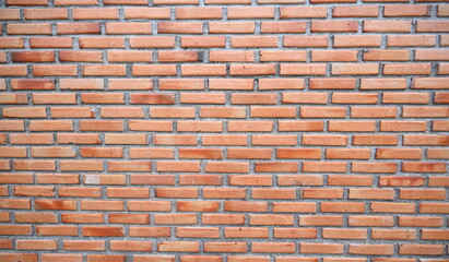 The texture of an orange brick or unevenly colored wall is perfect for text or as a background.
