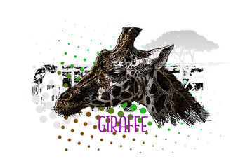 Giraffe Head Banner Vector Illustration