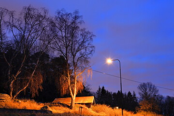 Rural night photo. One small wooden house outside. Next to a shining lamp post and some large birch trees. Long exposure shot. Jarfalla, Stockholm, Sweden, Europe.