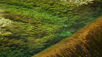 Fontaine de Vaucluse village and river in France.