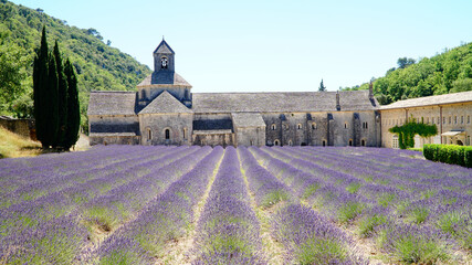 Abbaye Notre-Dame de Sénanque church and purple lavender field on Corsica Island, France.