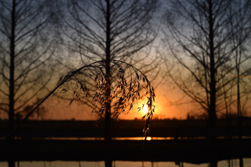beautiful sunset on the river, colors, lights and reflections surround this wonderful countryside landscape