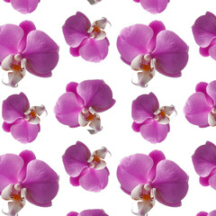 Seamless Pattern Flowers nature purple orchids  isolated on white. Happy Birthday, Happy Mother's Day, Wedding Day, Valentine's Day, International Women Day card.  gift wrapping paper textiles.