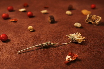 Obraz na płótnie Canvas Flower arranged with dried fruits on brown background