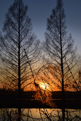 beautiful sunset on the river, colors, lights and reflections surround this wonderful countryside landscape