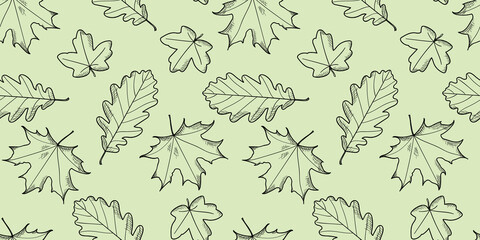 Leaves pattern vector background, botanical illustration