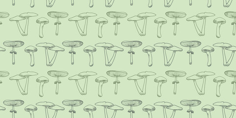 Fototapeta na wymiar Mushroom vector pattern background, botanical illustration