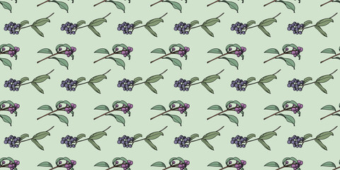 Berry botanical illustration vector pattern background,