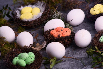 White chicken eggs and bird nests with colored eggs decorated with forest mosses and plants, gray background 