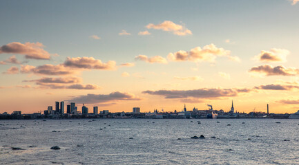 Fototapeta premium skyline of old city Tallinn at the coast of Baltic sea