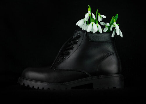 White snowdrops or Galanthus flowers bouquet in leather boot close-up on black background. Dark moody floral fahion wallpaper. Blooming drops of dew flowering plants. Spring holiday Sale greeting card