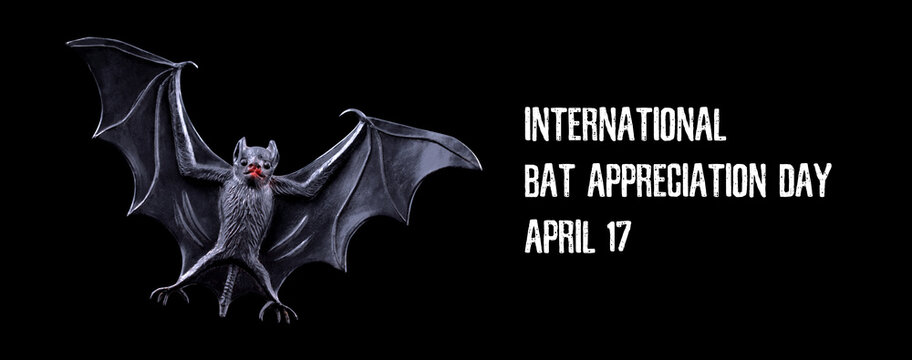 International Bat Appreciation Day stock images. Bat toy isolated on a black background. Bat Appreciation Day Poster, April 17. Important day